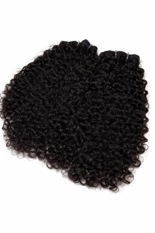 Raw Vietnamese Curly Bundles