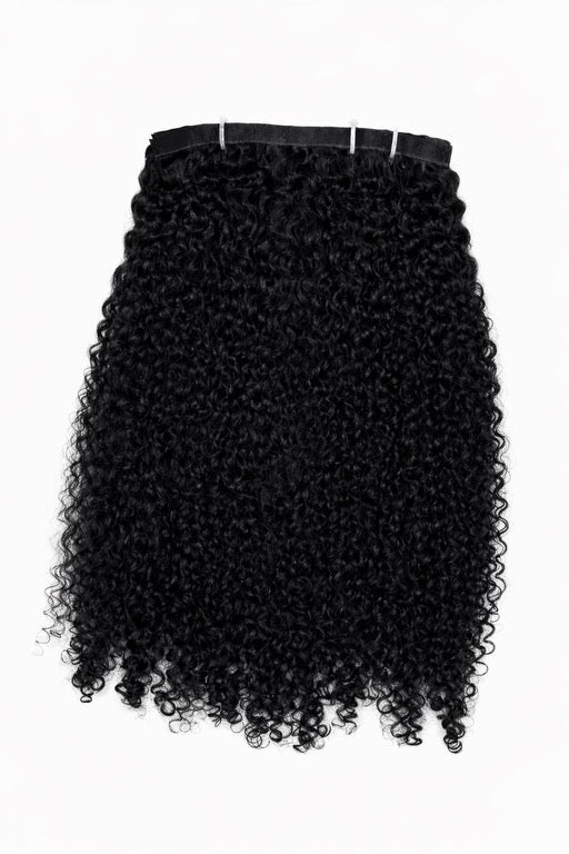 Kinky Curly Raw Vietnamese Clip ins